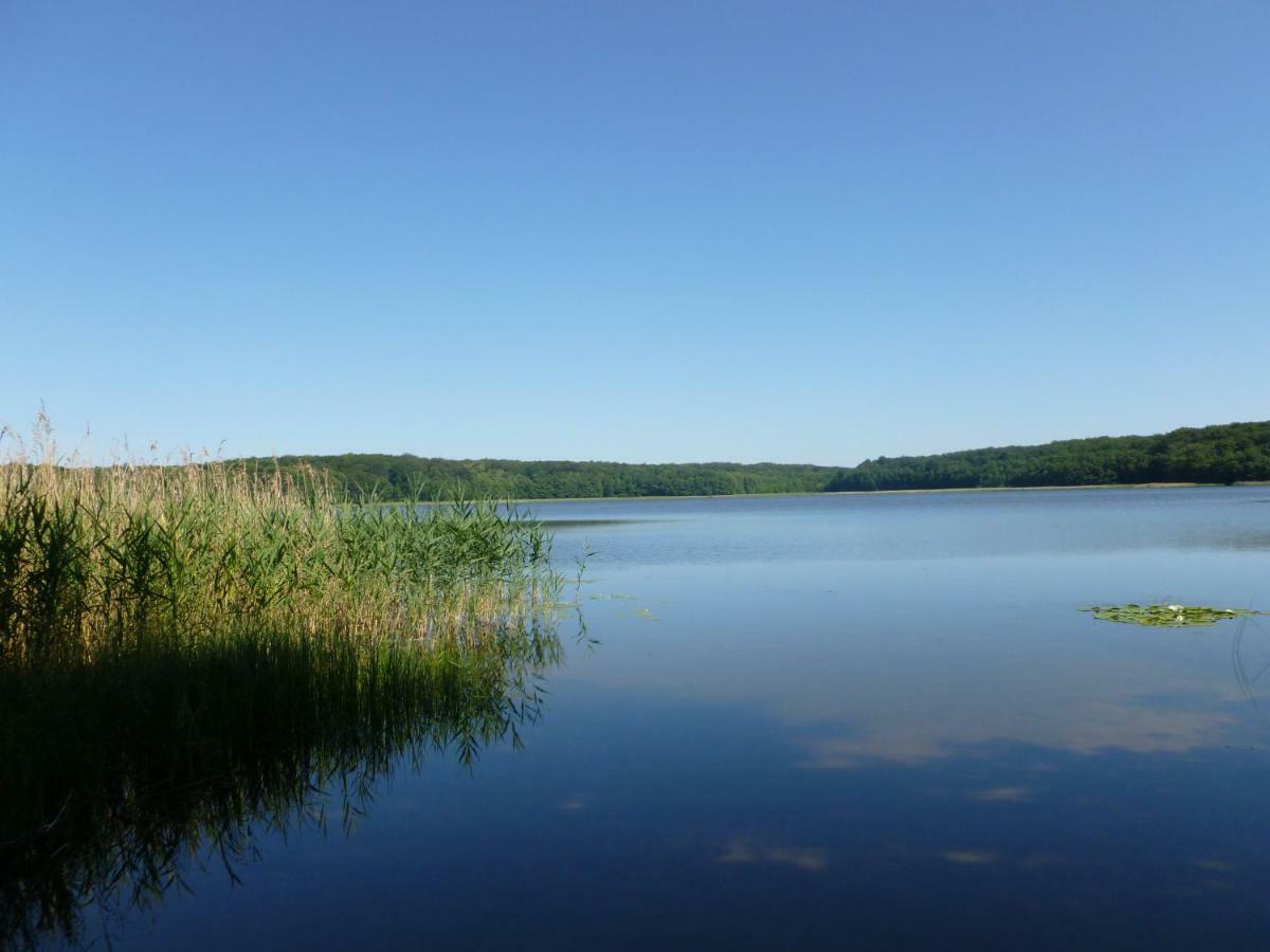 Landpension Zum Schweizerberg Neugrimnitz Екстер'єр фото
