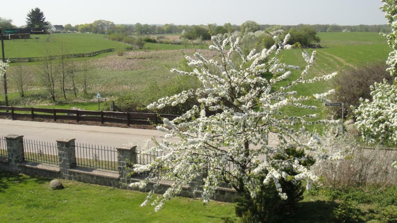 Landpension Zum Schweizerberg Neugrimnitz Екстер'єр фото