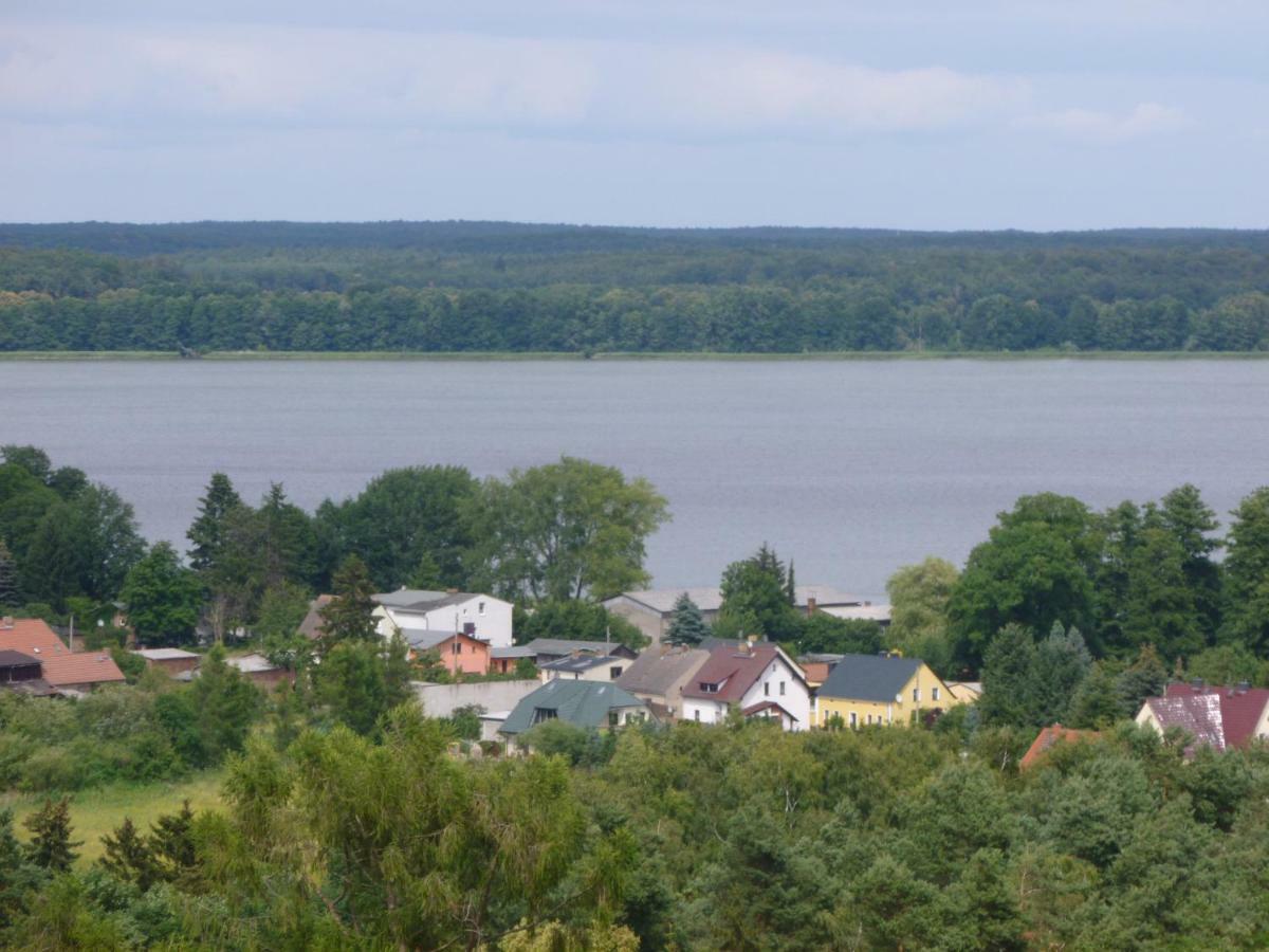 Landpension Zum Schweizerberg Neugrimnitz Екстер'єр фото