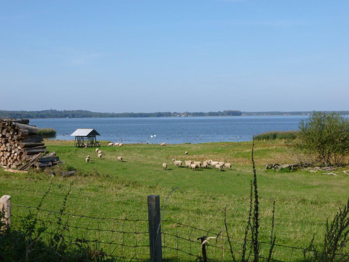 Landpension Zum Schweizerberg Neugrimnitz Екстер'єр фото